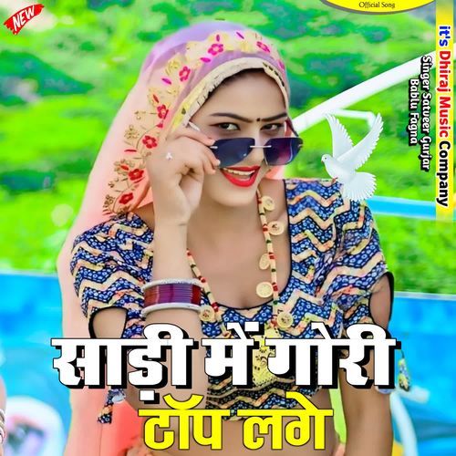 Sadi Me Gori Top Lage