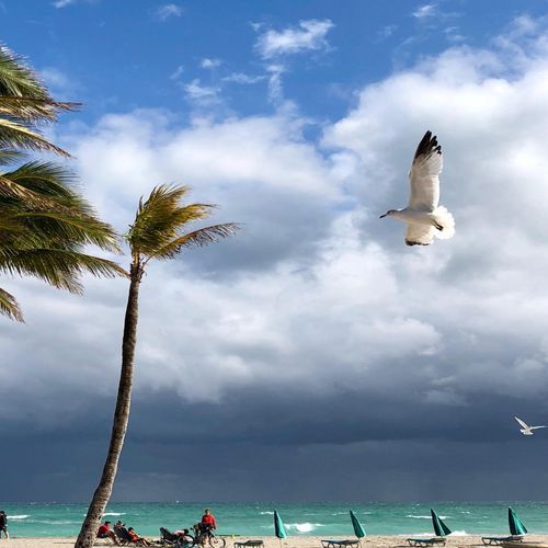 Se mi lasci cosi non vale se mi tratti cosi non vale