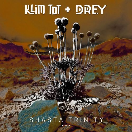 Shasta Trinity