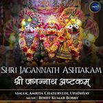 Shri Jagannath Ashtakam