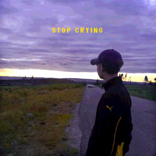 Stop Crying_poster_image