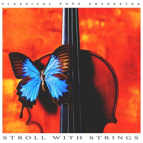 Stroll with Strings_poster_image