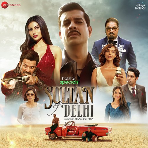 Sultan Of Delhi - Theme