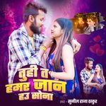 Tu Hi Ta Hamar Jaan Hau Sona