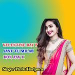 Velentine Day P Janu Tu Milab Kon Aav K