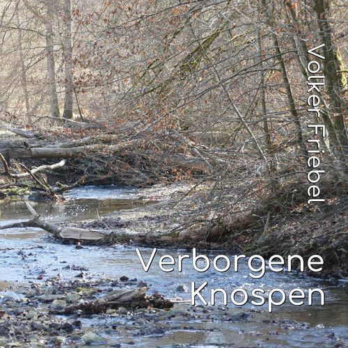 Verborgene Knospen cover art