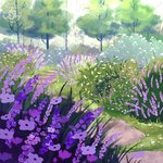 Violet