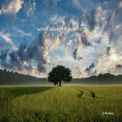 Wind Sound For Rest_poster_image