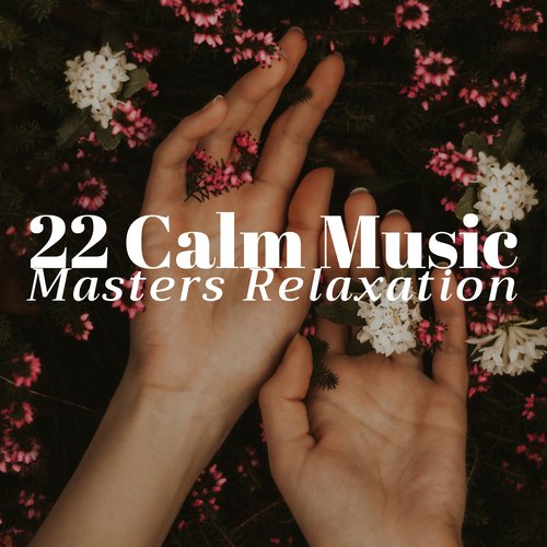 Meditation Experience cover art