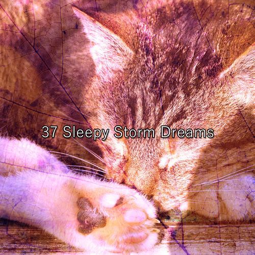 37 Sleepy Storm Dreams_poster_image