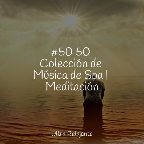 #50 50 Colección de Música de Spa | Meditación_poster_image