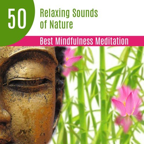 50 Relaxing Sounds of Nature: Best Mindfulness Meditation for Beginners, Yoga Classes, Spiritual Healing, Zen Music, Relax & Sleep