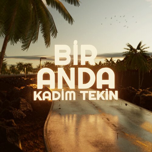 Bir Anda_poster_image