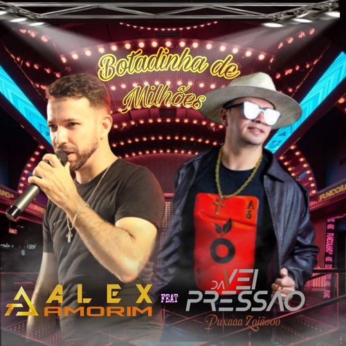 Botadinha de Milhões (feat. Vei da Pressão)_poster_image