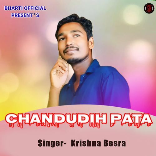 Chandudih Pata