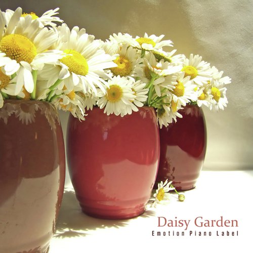 Daisy Garden