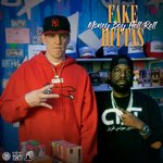 Fake Hittas