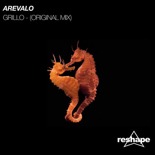 Grillo (Original Mix) cover art