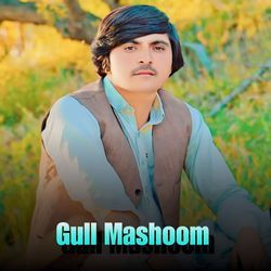 Janan Bakhat De Pa Awa Rawan De