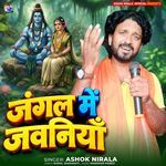 Jungle Me Jawaniya