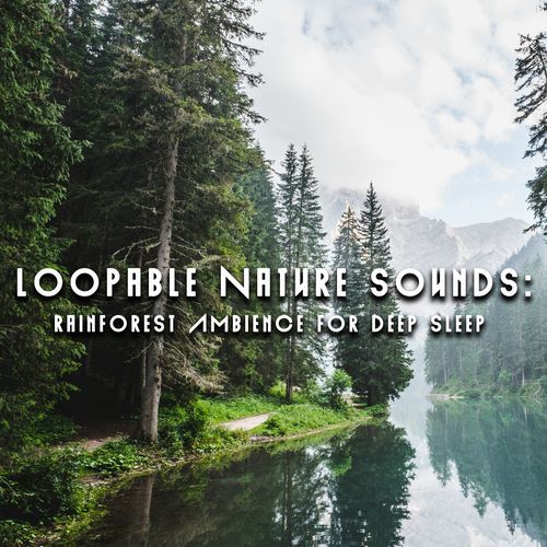 Natural Forest Sounds cover art