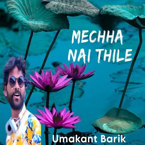 Mechha Nai Thile_poster_image