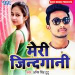Meri Jindagani