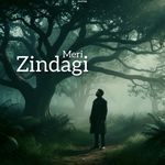 Meri Zindagi