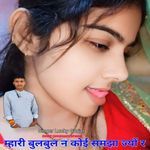 Mhari bulbul n koi samjha jyo