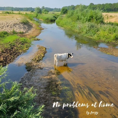 Rich Without Money cover art