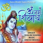 Om Namah shivay