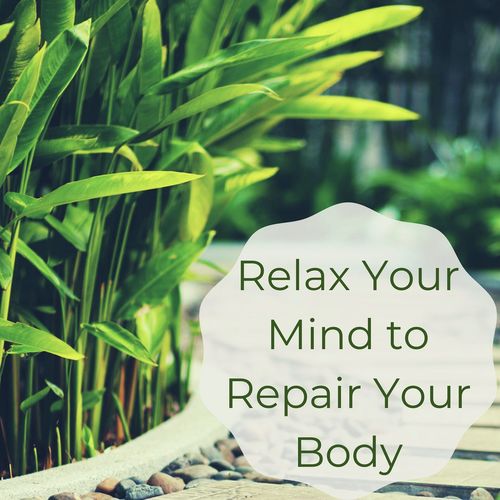 Relax Your Mind to Repair Your Body: Healing Nature Sounds_poster_image