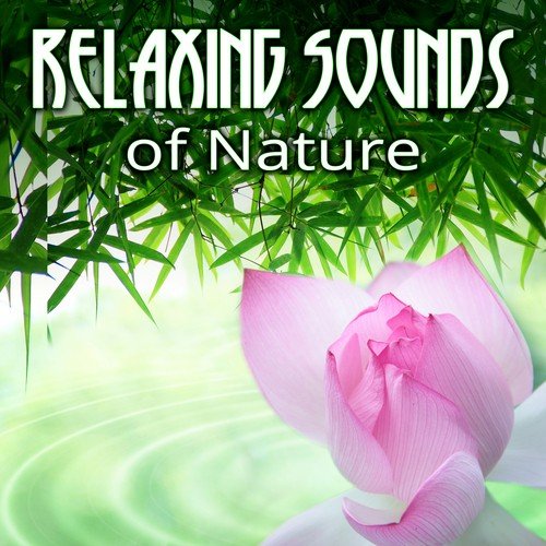 Relaxing Sounds of Nature - Ambient Healing for Meditation, Relaxation, Sound Therapy and Deep Sleep, Music for Massage, Reiki, Spa, Healing & New Age