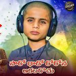 Saaro Dhado Rorona Aakalarochu