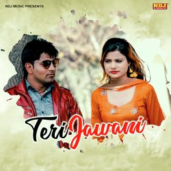 Teri Jawani-HBoOZDd9A3g