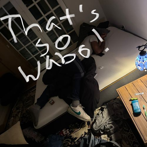 That’s so wabo! cover art