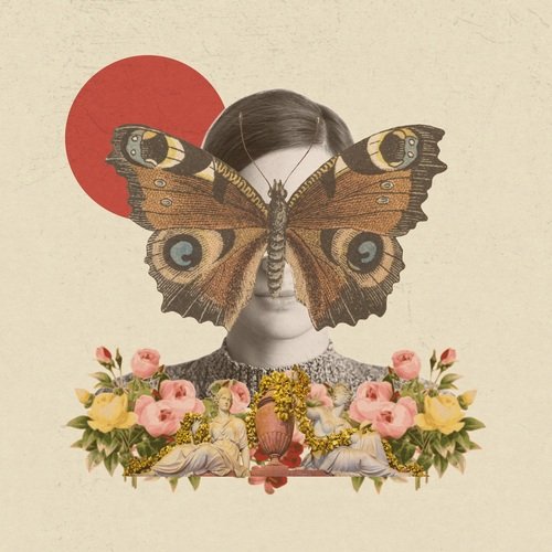 Velha Canção cover art
