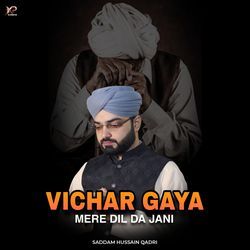 Vichar Gaya Mere Dil Da Jani-CAQeaENjU3Q