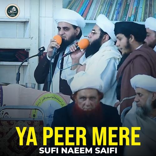 Ya Peer Mere