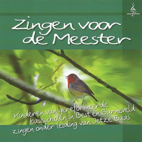 De vogels in de bomen cover art
