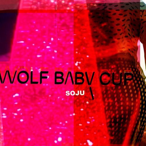soju cover art