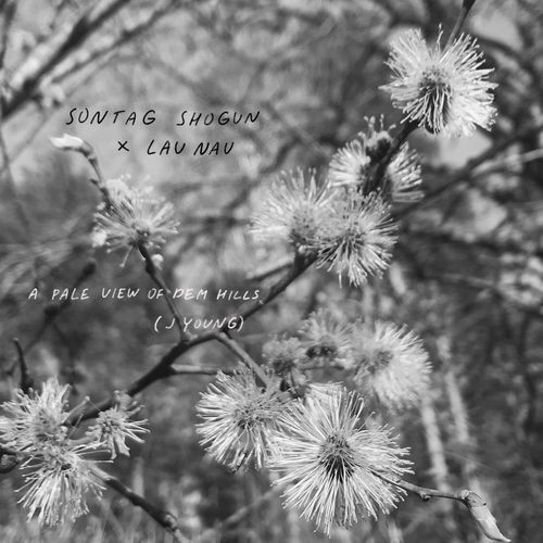 A pale view of dem hills (Jeremy Young Rework) cover art