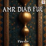 Amr Diab Fue artwork