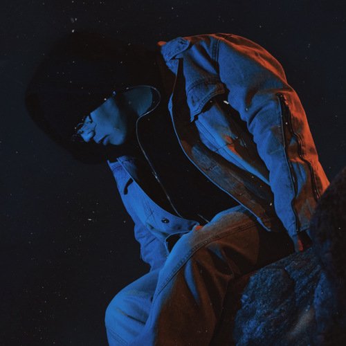 bvdm cover art