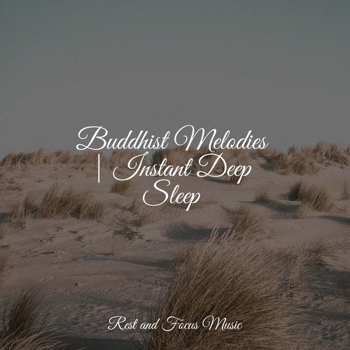 Parade of the Sunset cover art