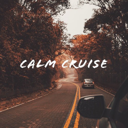 Calm Cruise_poster_image