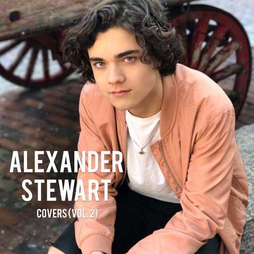 Shape Of You Lyrics Alexander Stewart Only On Jiosaavn