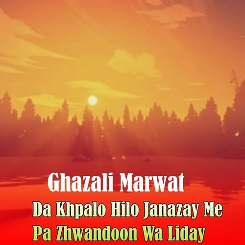 Da Khpalo Hilo Janazay Me Pa Zhwandoon Wa Liday