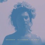 December [DJ Pioneer & AR Remix]