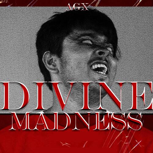 Divine Madness_poster_image